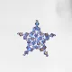 Star - Brooch Aquarius - 1